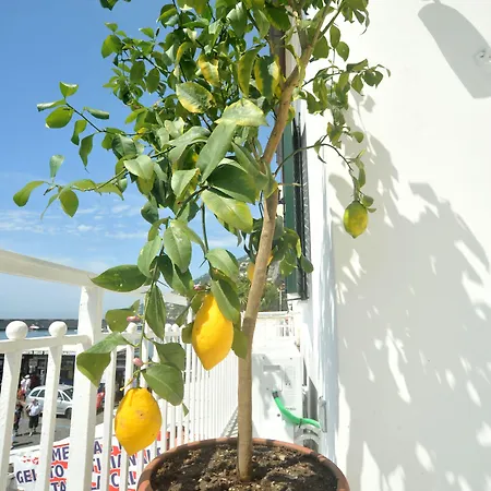 Core Amalfitano Alojamento de Acomodação e Pequeno-almoço Amalfi